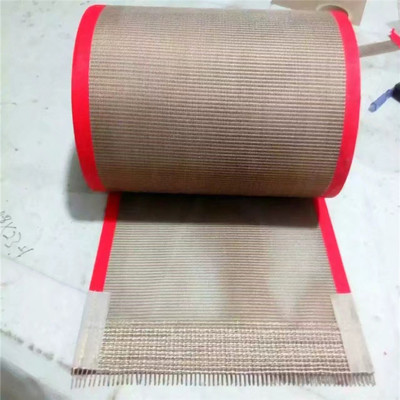 特氟龙（PTFE）网带